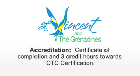 st-vincent-and-the-grenadines-expert-program