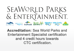 sea-world-parks-entertainment-specialist